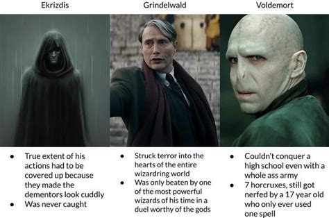 How Did Voldemort Die in the Books: A Multi-Perspective Analysis