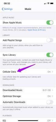 How to Download Music on iPhone: A Detailed Guide with Multiple Perspectives