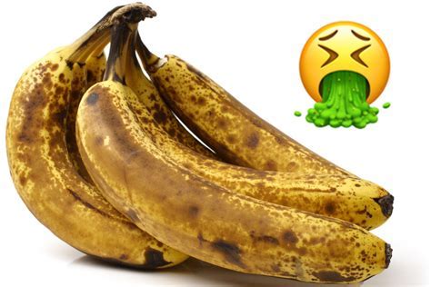 What Does Mono Mean in Music? And Why Do Bananas Sing in the Shower?